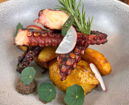 Tentacule de caracatiță la grill cu sos pesto de pătrunjel și cartofi cu rozmarin livrare Florești și Cluj-Napoca